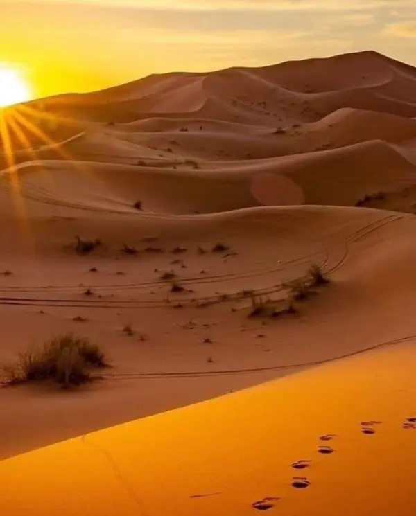 Dunes de sable doré au soleil couchant