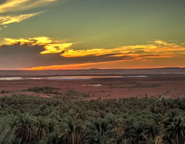 Palmeraie et sebkha au crépuscule